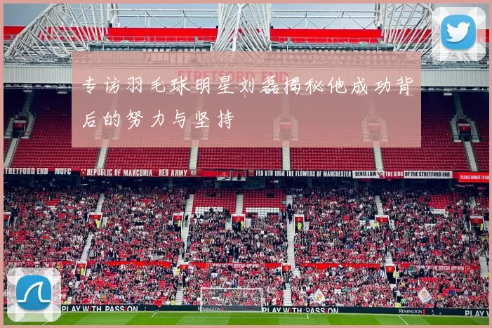 专访羽毛球明星刘磊揭秘他成功背后的努力与坚持