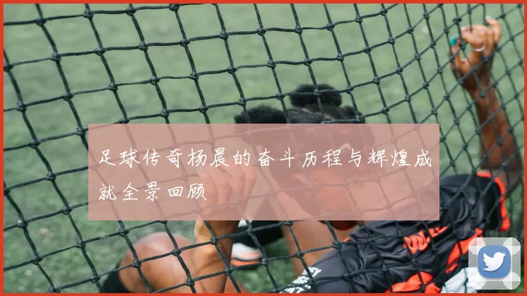足球传奇杨晨的奋斗历程与辉煌成就全景回顾