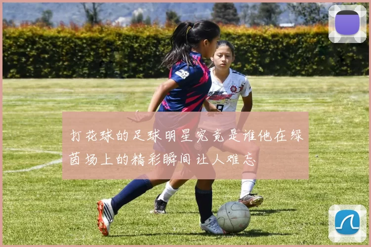 打花球的足球明星究竟是谁他在绿茵场上的精彩瞬间让人难忘
