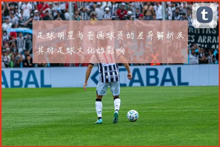 足球明星与普通球员的差异解析及其对足球文化的影响
