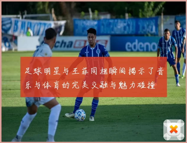 足球明星与王菲同框瞬间揭示了音乐与体育的完美交融与魅力碰撞