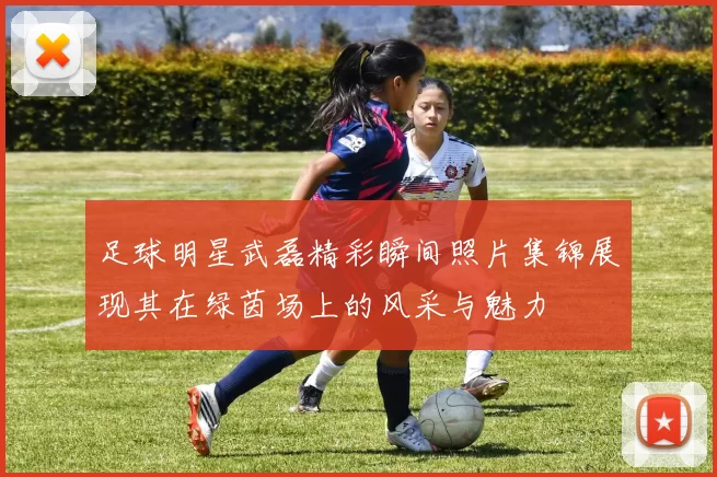 足球明星武磊精彩瞬间照片集锦展现其在绿茵场上的风采与魅力