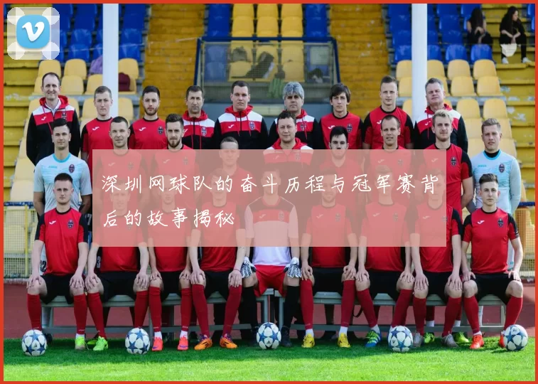 深圳网球队的奋斗历程与冠军赛背后的故事揭秘