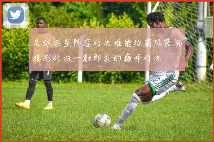 足球明星阵容对决谁能称霸绿茵场精彩对抗一触即发的巅峰对决