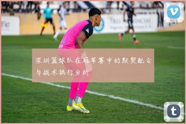 深圳篮球队在冠军赛中的默契配合与战术执行分析