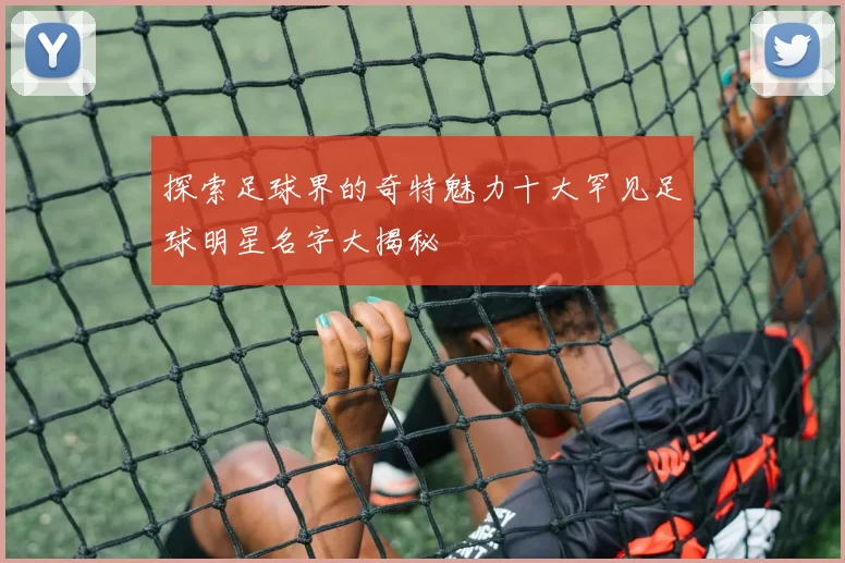 探索足球界的奇特魅力十大罕见足球明星名字大揭秘