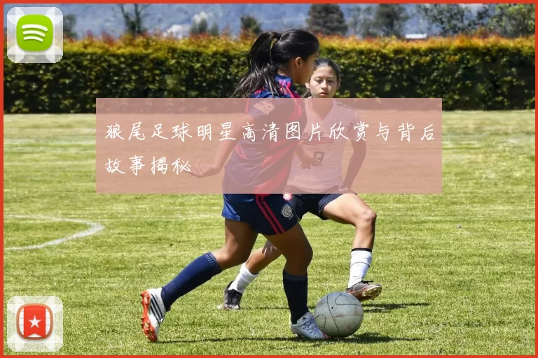 狼尾足球明星高清图片欣赏与背后故事揭秘