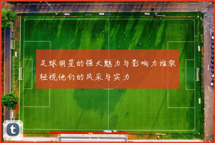 足球明星的强大魅力与影响力谁敢轻视他们的风采与实力