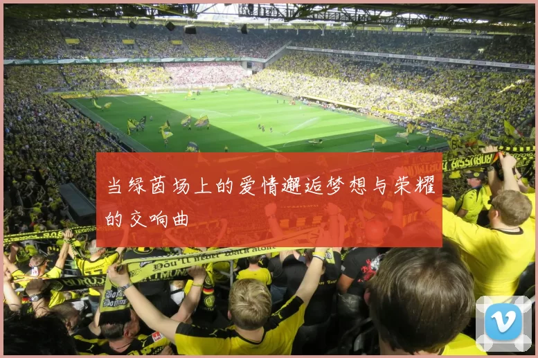 当绿茵场上的爱情邂逅梦想与荣耀的交响曲