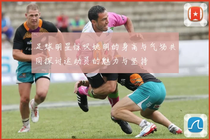 足球明星惊叹姚明的身高与气场共同探讨运动员的魅力与坚持