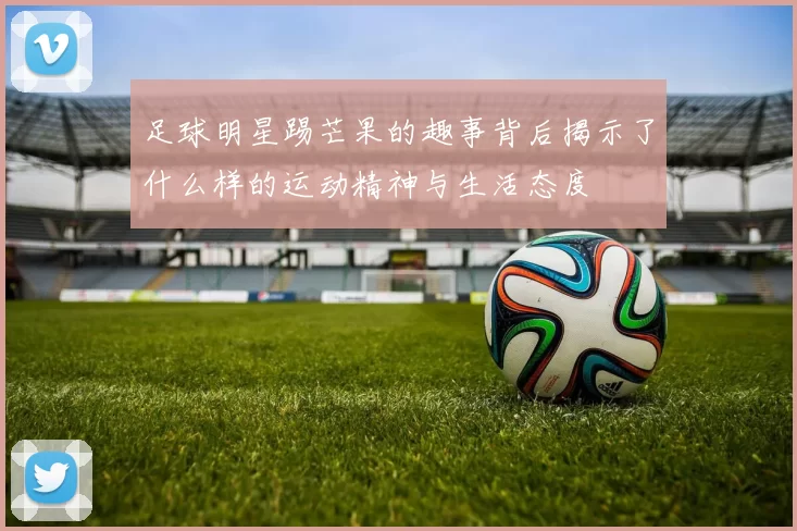 足球明星踢芒果的趣事背后揭示了什么样的运动精神与生活态度