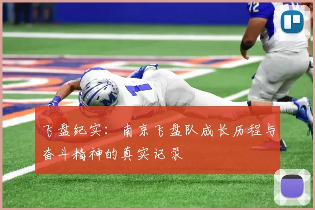 飞盘纪实：南京飞盘队成长历程与奋斗精神的真实记录